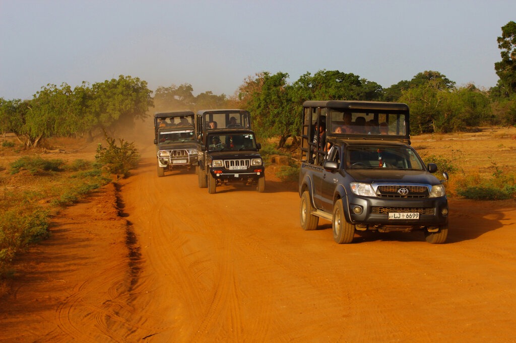 yala nationalpark reisebericht